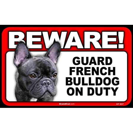 Beware! - French Bulldog