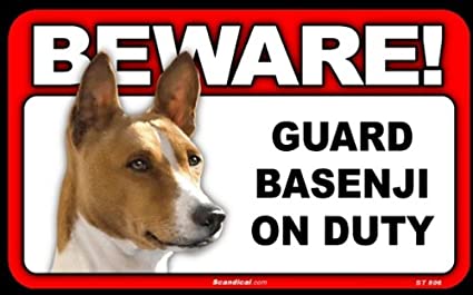 Beware! - Basenji