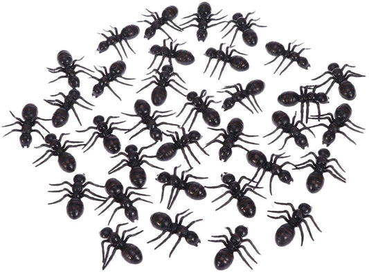 Mini Ants 72ct