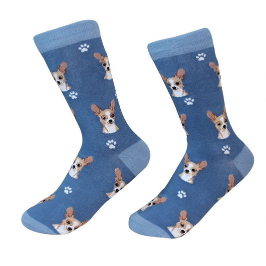 Socks - Chihuahua