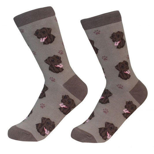 Socks - Labrador