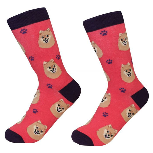 Socks - Pomeranian