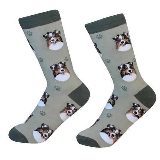 Socks - Australian Shephard