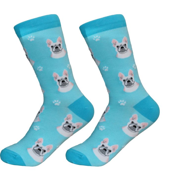 Socks - French Bulldog