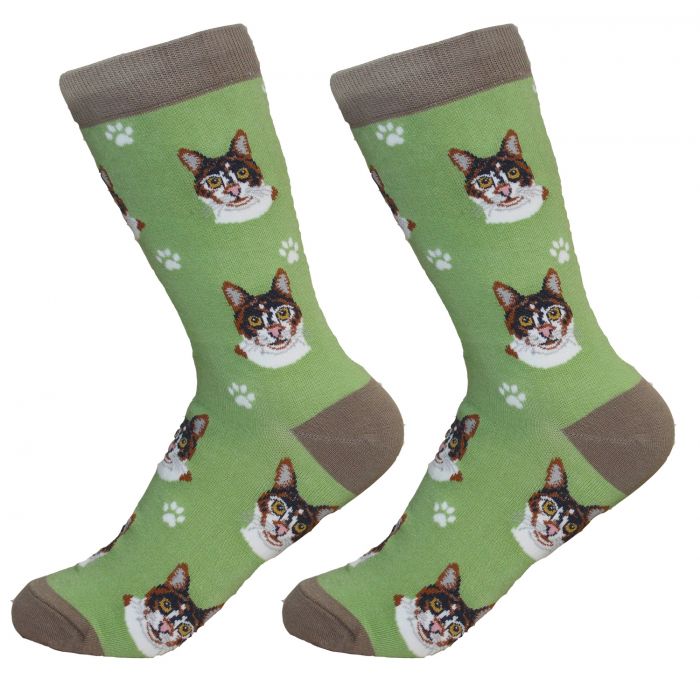 Socks - Calico Cat