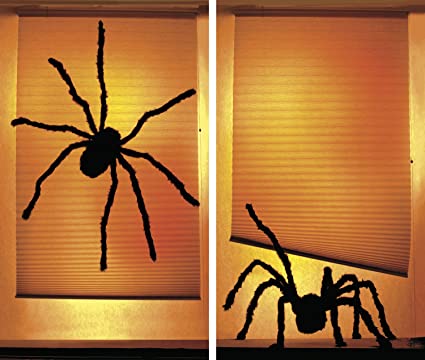 Shady Spiders Window Poster