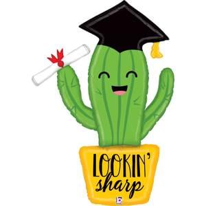 Graduation: Cactus - 42"