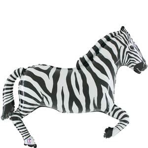 Zebra - 43"