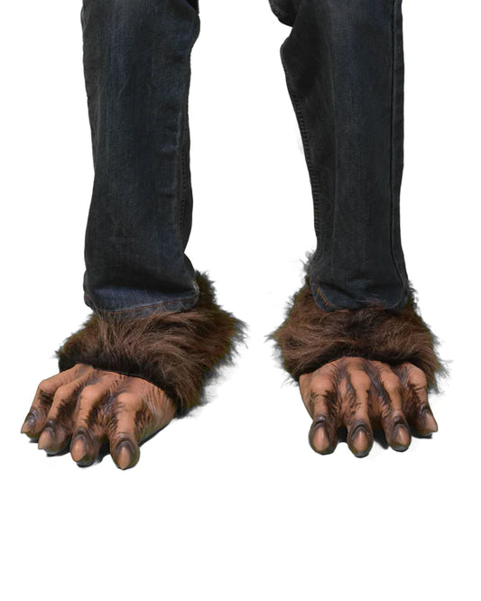 Brown Wolf Feet
