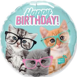 Birthday: Kittens - 18"