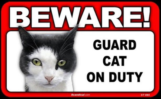 Beware! - Black & White Cat