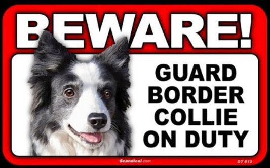Beware! - Border Collie