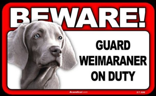 Beware! - Weimaraner