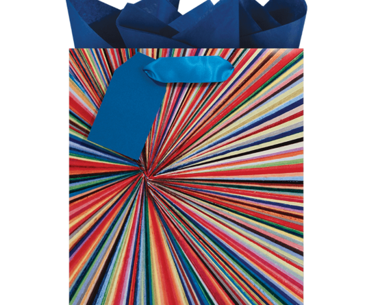 Gift Bag - Prism