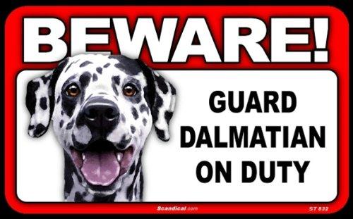 Beware! - Dalmatian