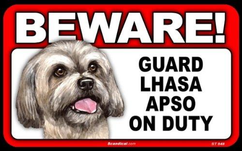 Beware! - Lhasa Apso