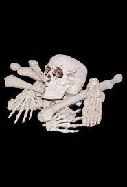 Bones- Assortment