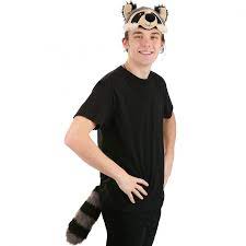 Raccoon Plush Headband & Tail Kit
