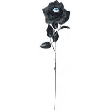 Black Rose With Eye