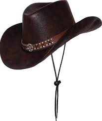 Silver Stud Brown Cowboy Hat