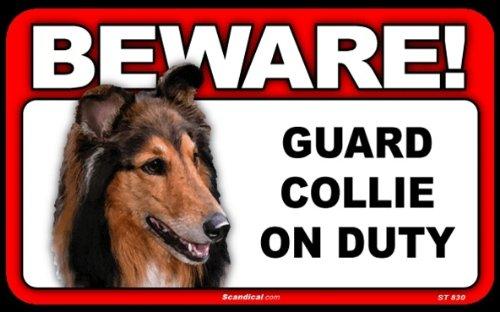 Beware! - Collie
