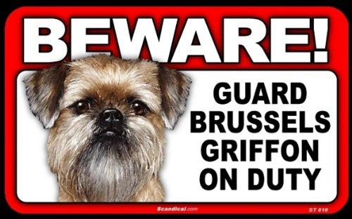 Beware! - Brussels Griffon