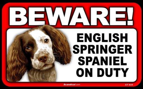 Beware! - English Springer Spaniel