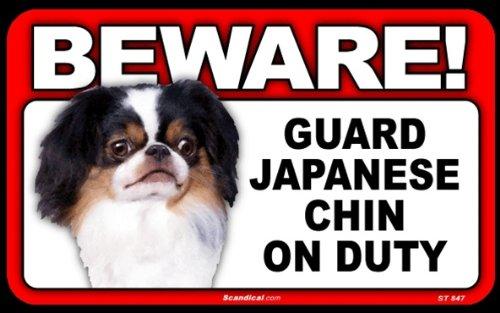 Beware! - Japanese Chin