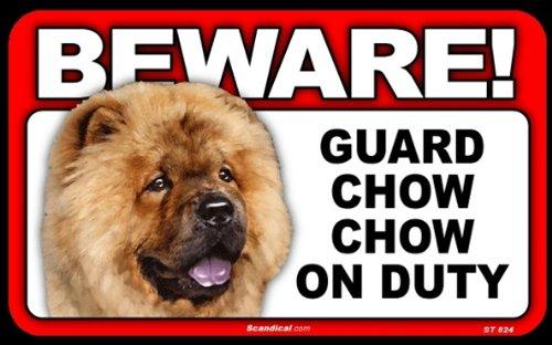 Beware! - Chow Chow