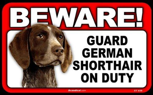 Beware! - German Shorthair