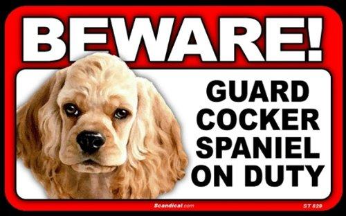 Beware! - Cocker Spaniel