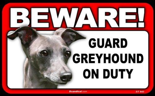 Beware! - Greyhound